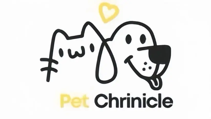 Pet Chrinicle