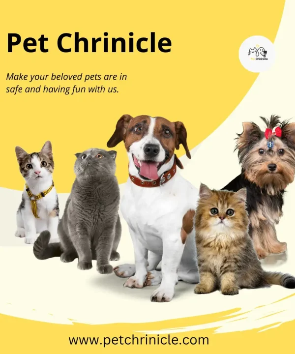 Pet Chrinicle